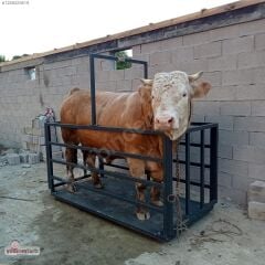 HNC Et Kemik Testeresi