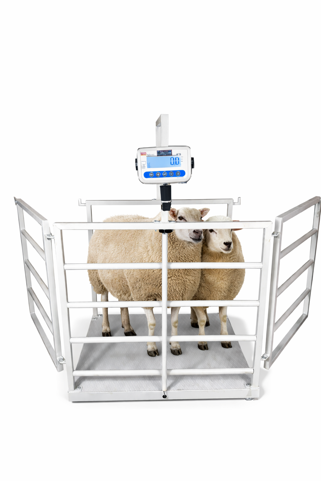 TEM Eko 80x100 Cm Küçükbaş Canlı Hayvan Baskülü